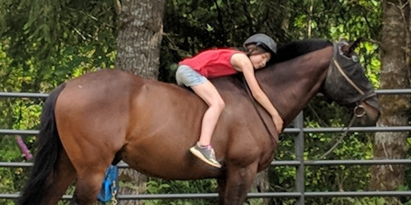 How Long Does It Take to Become a Good Horse Person?