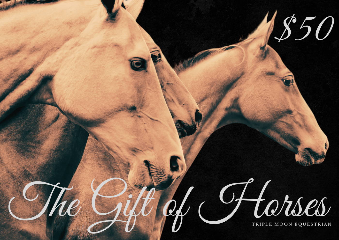 $50 Gift Card for Horse Lovers