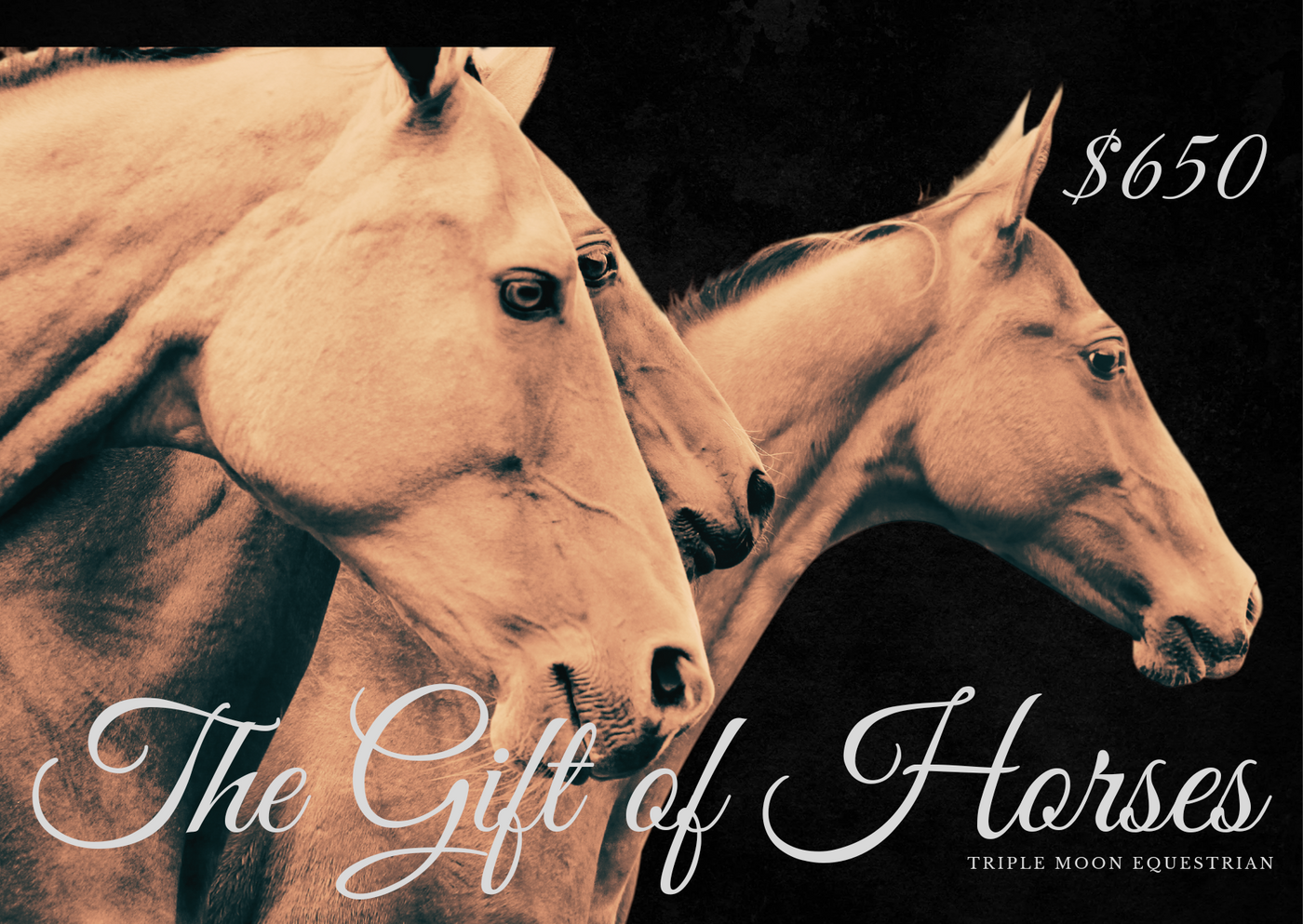 $650 Horse Lovers Gift Card (Package of 8 Lessons)