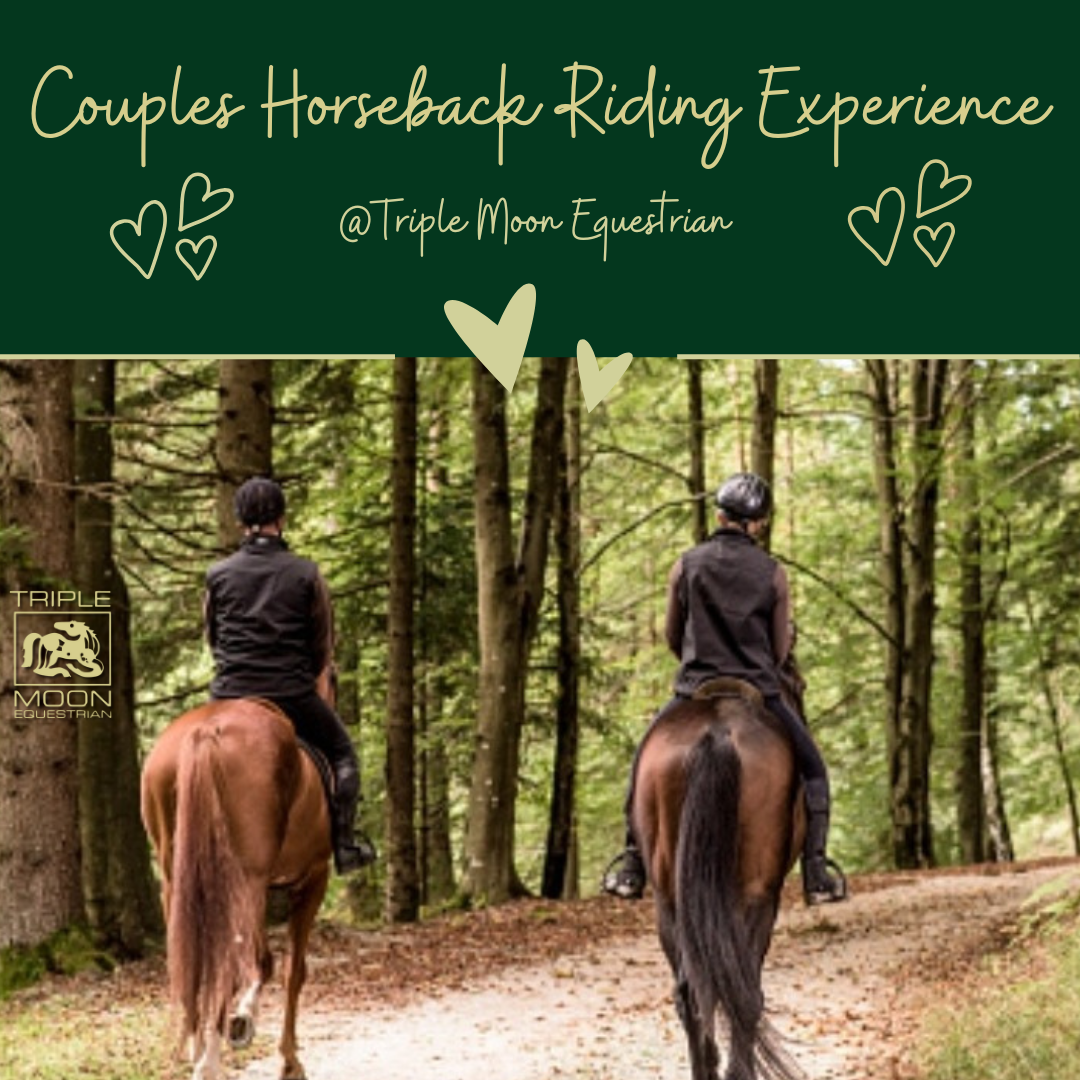 Couples Horseback Riding Experience