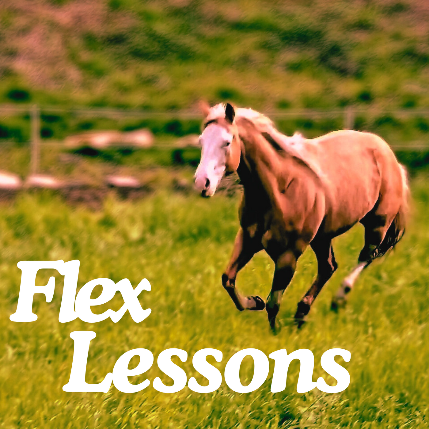 Horseback Riding Lessons