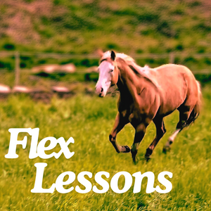 Horseback Riding Lessons