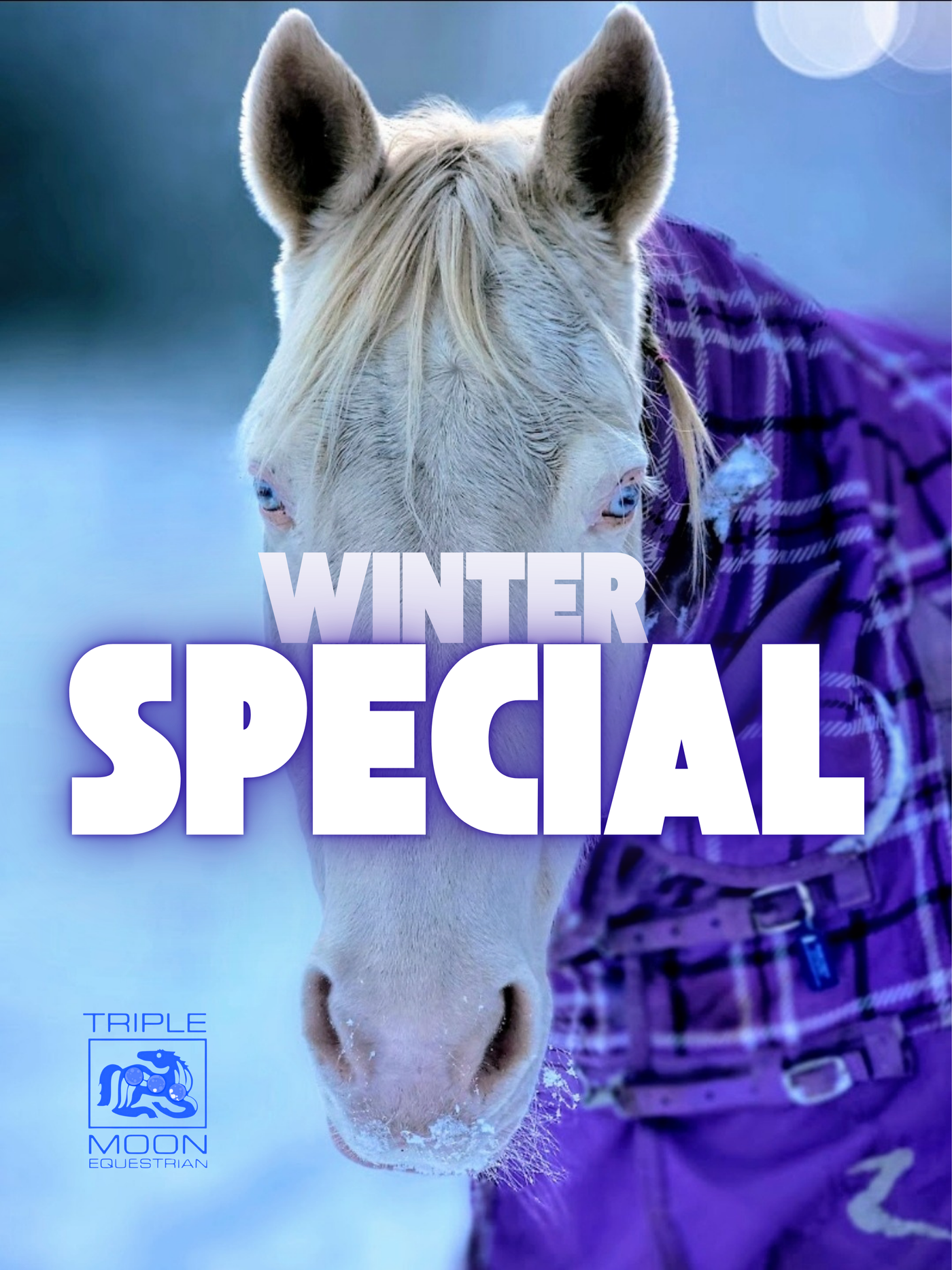 Winter Special