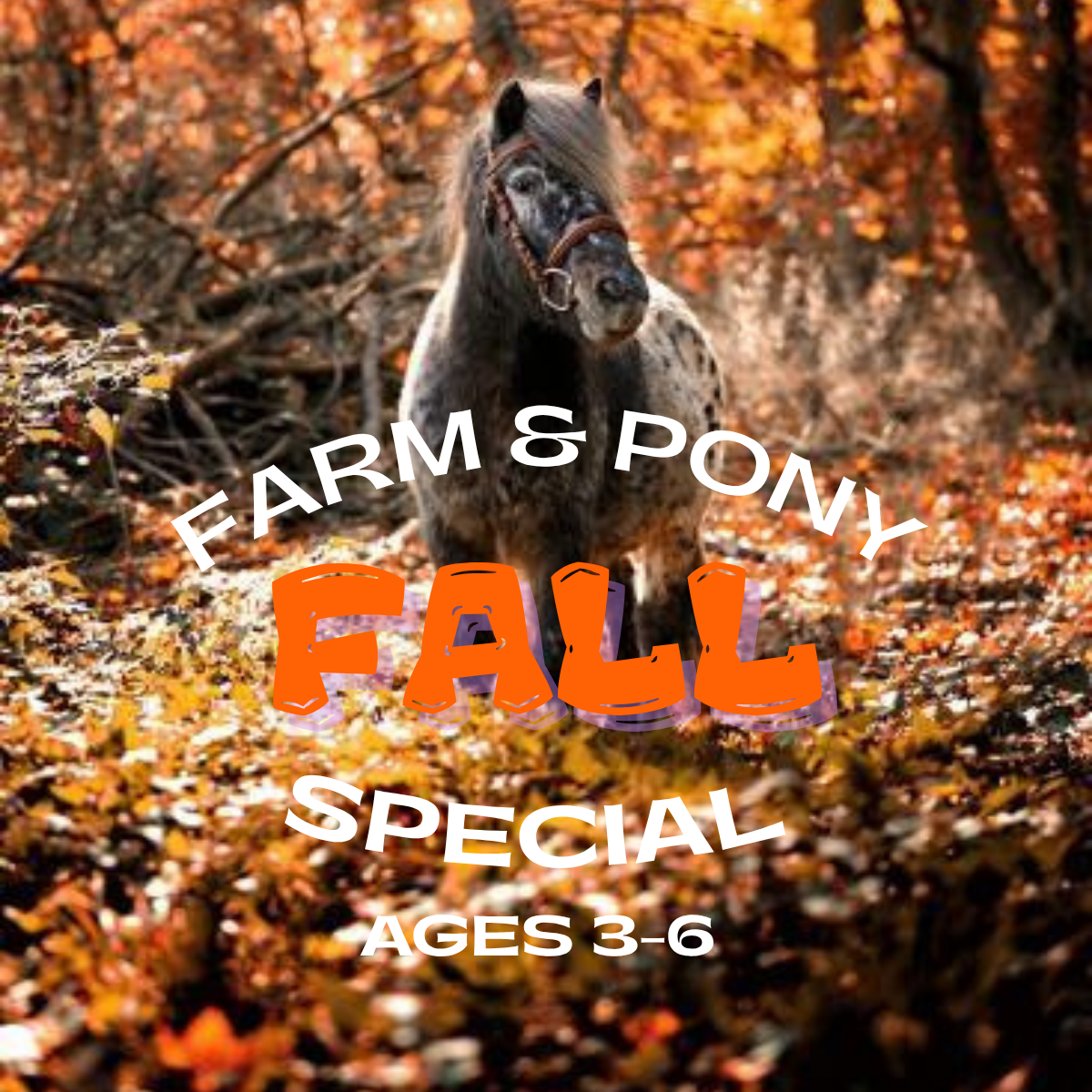 Farm & Pony Fall Special